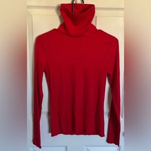 Red Wild Fable Turtleneck